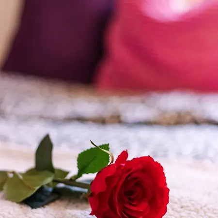 아파트 3 Lovely In Center.