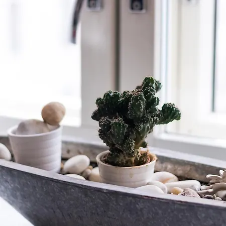 Apartmán 3 Lovely In Center.