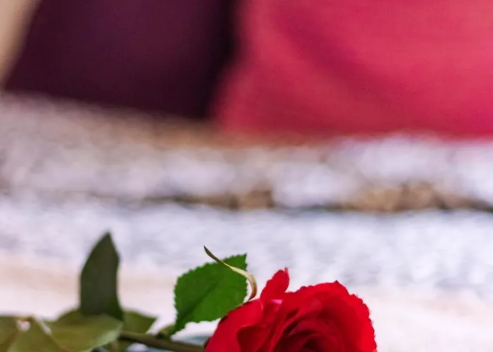 דירה 3 Lovely In Center.