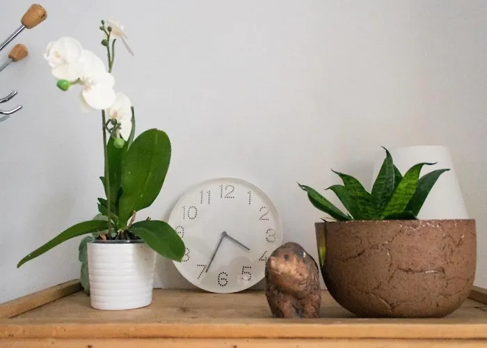 3 Lovely In Center. דירה *