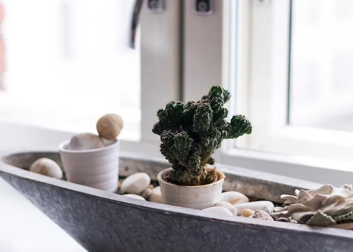 דירה 3 Lovely In Center.