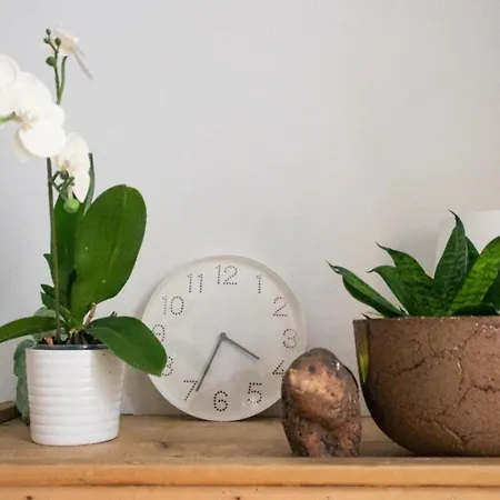 3 Lovely In Center. アパート *